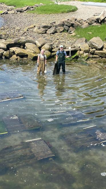 Ferrycliffe Shellfish Farm and Field Research